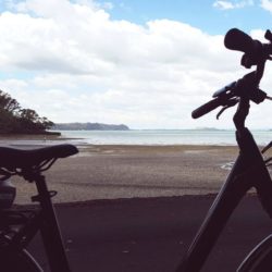 edbikes.co.nz